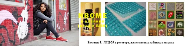 дживик Белокуриха
