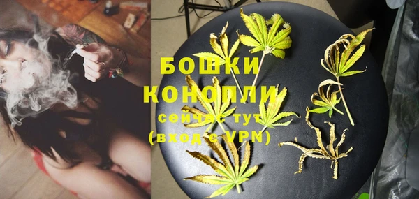 дживик Белокуриха
