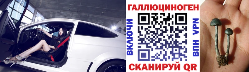 Галлюциногенные грибы Psilocybine cubensis  Козельск 